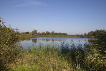 Wasserfläche, Vogelschutzgebiet, Rieselfelder, Münster, Münsterland, Nordrhein-Westfalen, Deutschland
