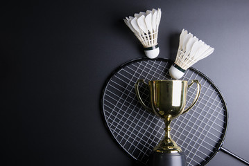 Free Best Badminton Image & Pictures - Royalty Free Pictures, Unlimited  Downloads | Pikwizard