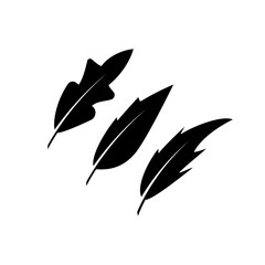 Feathers vector icons. Black vintage feather set vector