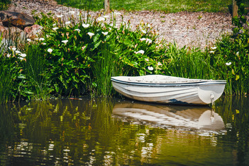Old boat in the pond
