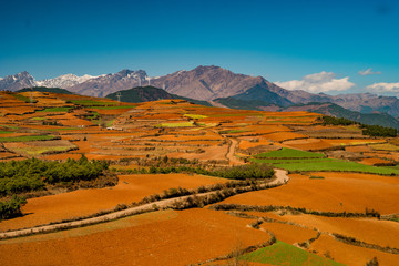 Colorful Rice Terraces, Yunnan
