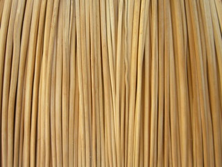 yellow,herbal, texture,background,reeds,reed