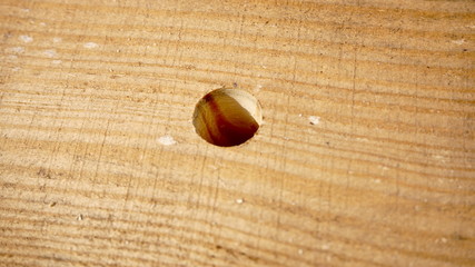 drilled hole in a pine wooden board