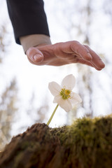 Man holding hand over flower