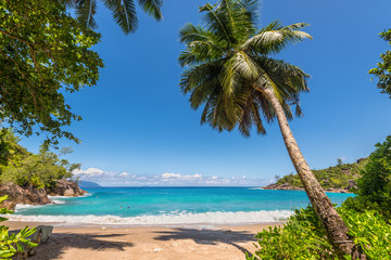 Obraz na płótnie Canvas Dream Seascape Coast - Sunny day on fantastic Anse Major beach, Mahe island, Seychelles. Summer holiday concept.