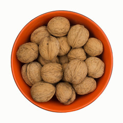 Walnut