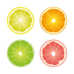 Set of four colored isolated slices of citrus: green color lime, yellow lemon, orange and pink grapefruit on white background.