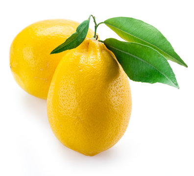 Ripe lemon fruits with leaves on the white background.