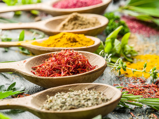 Assortment of colorful spices in the wooden spoons.