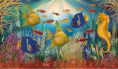 Underwater tropical background, vector illustration