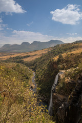 Fototapeta na wymiar The Lisbon Falls and river in forest of Mpumalanga, South Africa, Africa