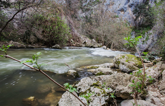 wild nature at San Venanazio gorges, Aterno river