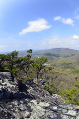 Distant Mountain View