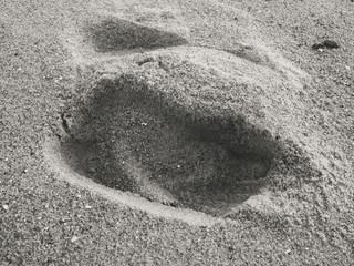 Human footprints walk in wet sand beach outdoors, shoreline natural background
