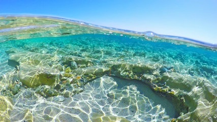 Fototapeta na wymiar Rocks underwater in Sardinia