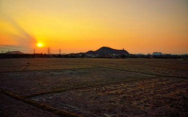 Fototapeta na wymiar Dry field at sunset