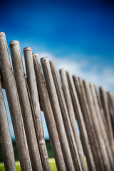 in a   cloudy sky  lots bamboo stick for  natural fence