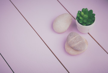 Stones and plant on the white background