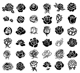 Roses design elements - obrazy, fototapety, plakaty