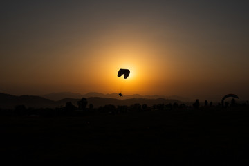 Paragliding at Bir
