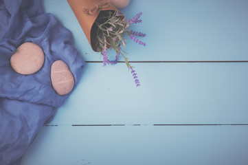 Stones and plant on the wooden background