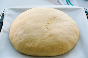 Close Up Of Dough Of bread On Oven Plate
