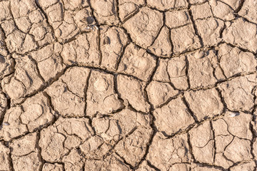 Dry ground background