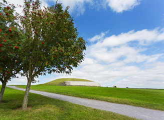 Fototapeta na wymiar Newgrange Monument