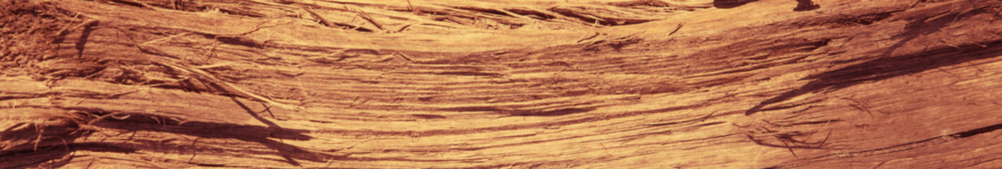 Old dirty rich wood texture background