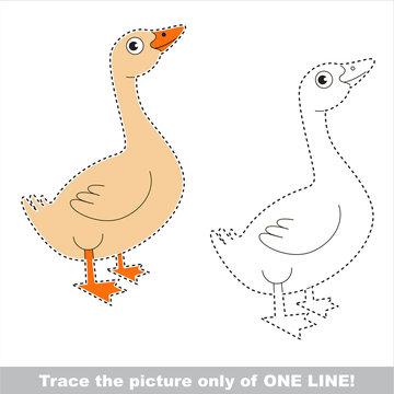 Vector trace educational game for preschool kids.