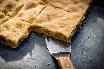 Apple cake on backing plate and paddle.