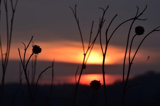 Zach&oacute;d słońca, słońce, natura, przyroda, niebo, zmierzch