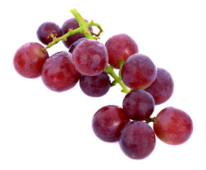 red grapes isolated on white background