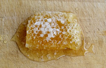 Detail of a fresh honeycomb
