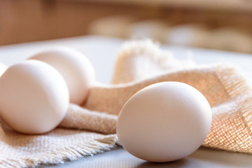 White fresh eggs on gray background.  Rural still life, natural organic healthy food with free space. Close up