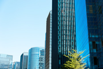 Naklejka premium Modern glass building skyscrapers over blue sky.