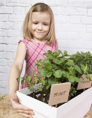dziewczynka sadząca przyprawy w doniczce