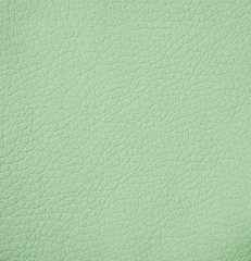 leather texture, closeup