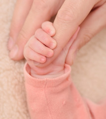 Kleine Hand des Neugeborenes Kindes haltet Zeigefingers des Papas