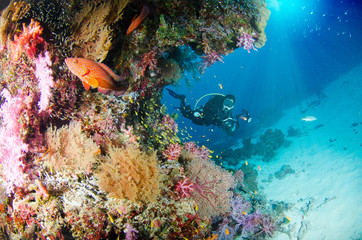 Fototapeta na wymiar Wonderful and beautiful underwater world with corals, fish, scuba diver and sunlight