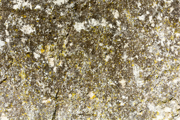 A background of the texture natural rock