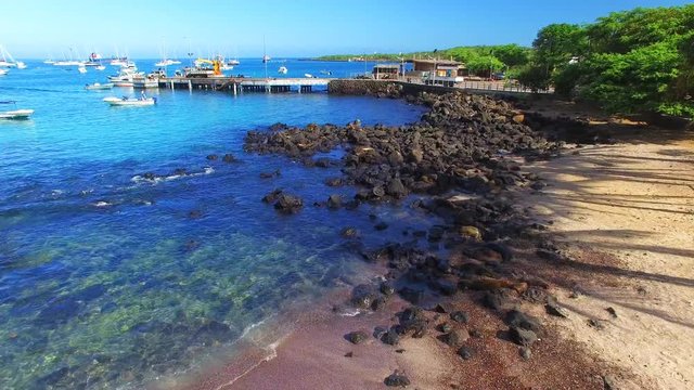 Aerial view of sea lion colony resting on rocky beach, San Cristobal island coast, Puerto Baquerizo Moreno, Galapagos, Ecuador