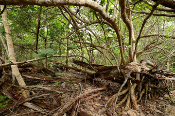 Península de Zapata National Park in Cuba