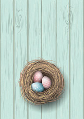 Nest with blue and pink eggs on blue wooden background, illustration