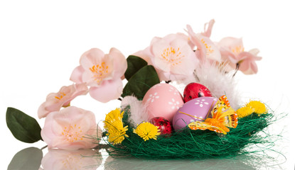 Easter eggs and feathers in nest, branch with flowers, butterfly.