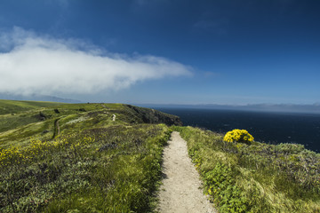 Potato Harbor Trail, Channel Islands National Park