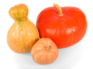 Three ripe pumpkins of different shapes isolated on white.
