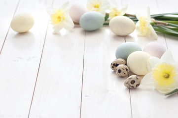Fototapeta na wymiar Colored chicken and quail eggs with daffodil flowers on a white wooden background.