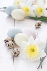 Colored chicken and quail eggs with daffodil flowers on a white wooden background.