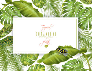 Tropical horizontal banner © purplebird